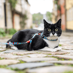 Cat Harness/Leash Set - Little Monsters