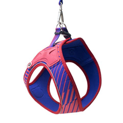 FC Barcelona dog harness with ergonomic design and padded fit – perfect for comfortable walks with your dog.