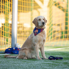 FC Barcelona dog bandana by Max & Molly – stylish and comfortable accessory for your dog.