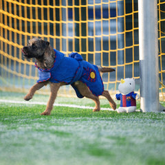 FC Barcelona dog bathrobe with hood and tie belt – soft and absorbent for drying your dog after a bath.