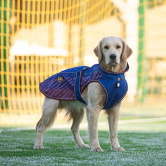 FC Barcelona dog raincoat – waterproof and adjustable for optimal protection on rainy walks.