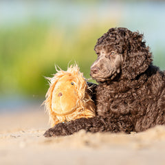 Huggles Toy - Lion George