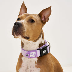 Smart ID Breites Halsband - Matrix 2.0 Lavender