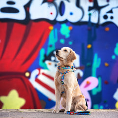 GOTCHA! Smart ID Collar - Little Monsters