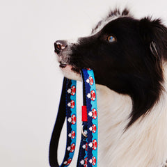 Multifunktionsleine - Frenzy the Shark