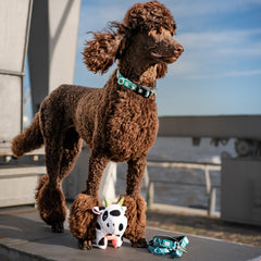 Multifunktionsleine - Storm