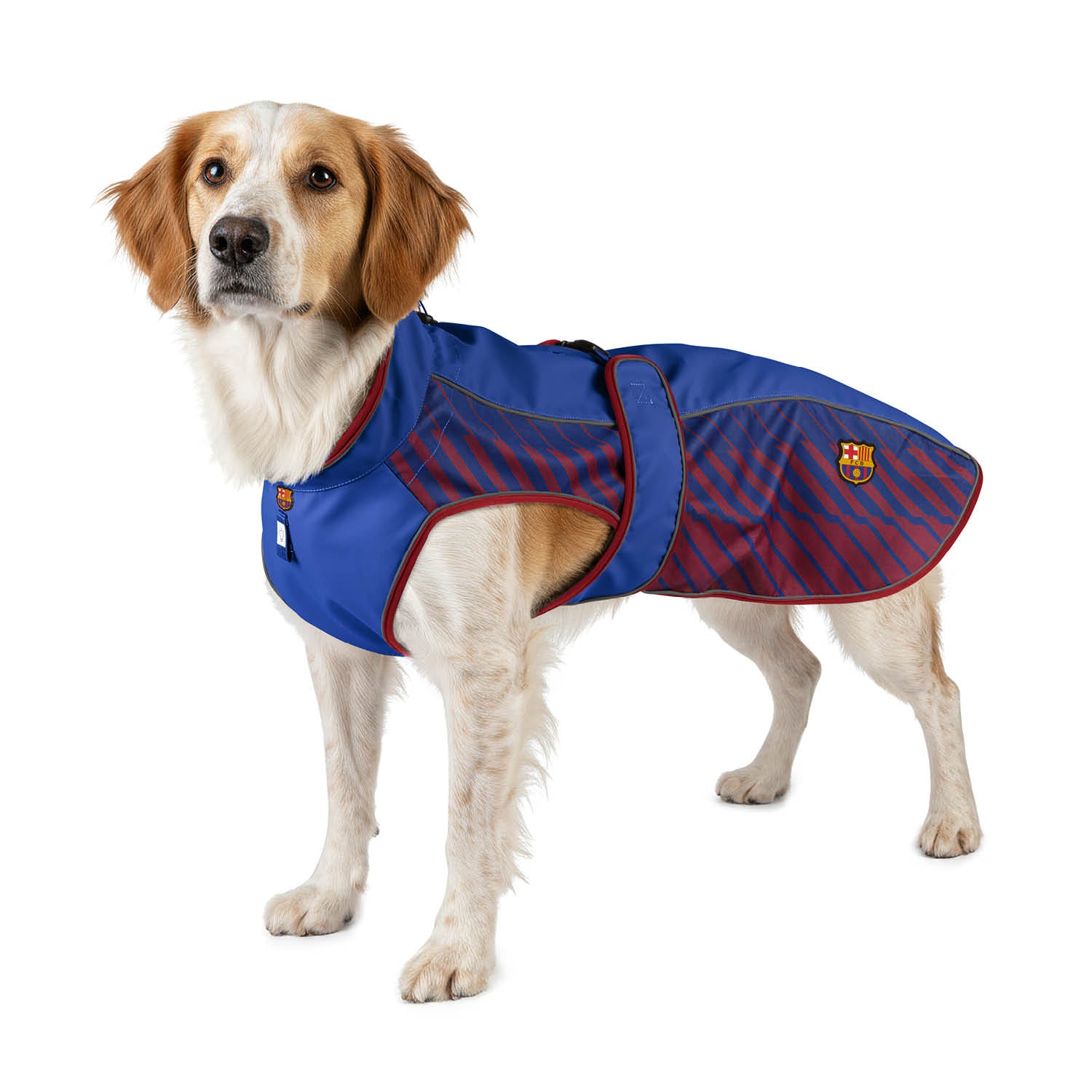 FC Barcelona Raincoat for dogs – Max & Molly Urban Pets