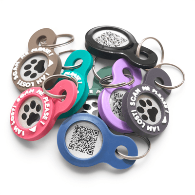 GOTCHA! Smart ID TAG