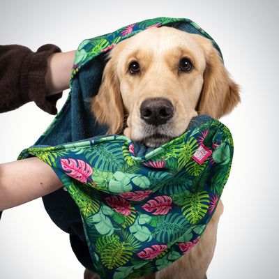 Dog Towel