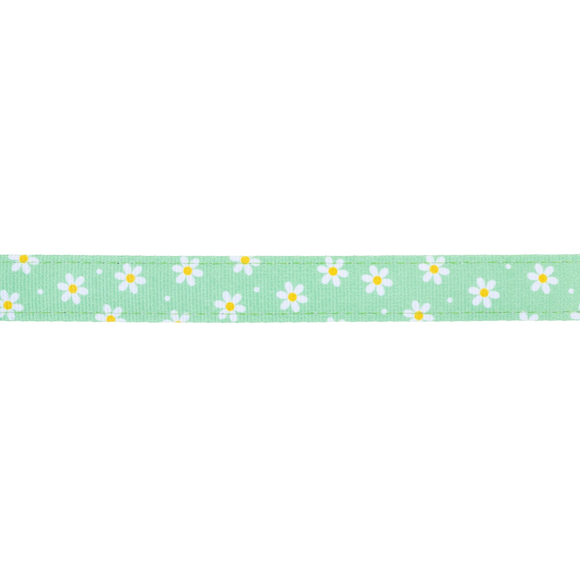 Kurzleine - Margarite