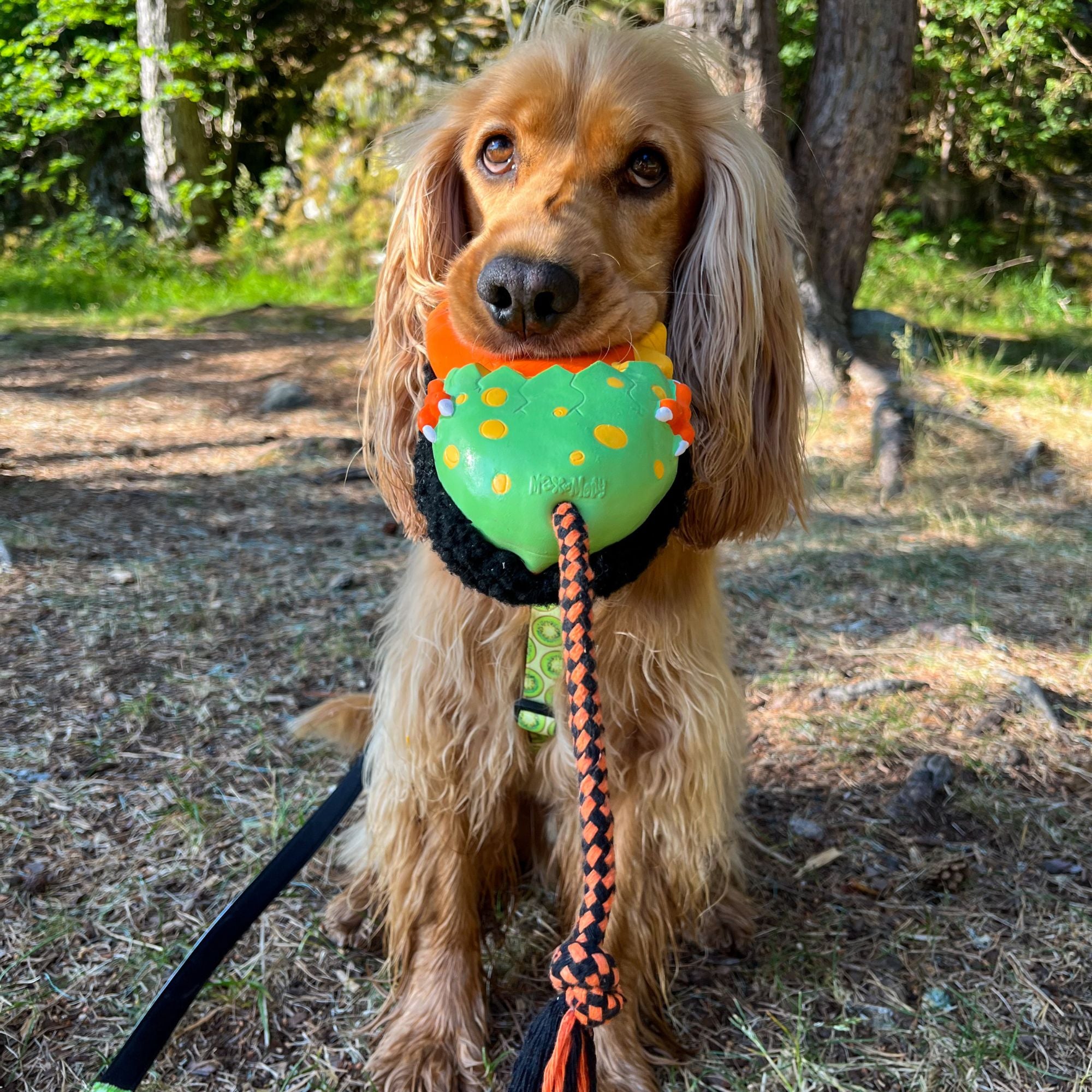Max & Molly Snuggles - Otto the Dino