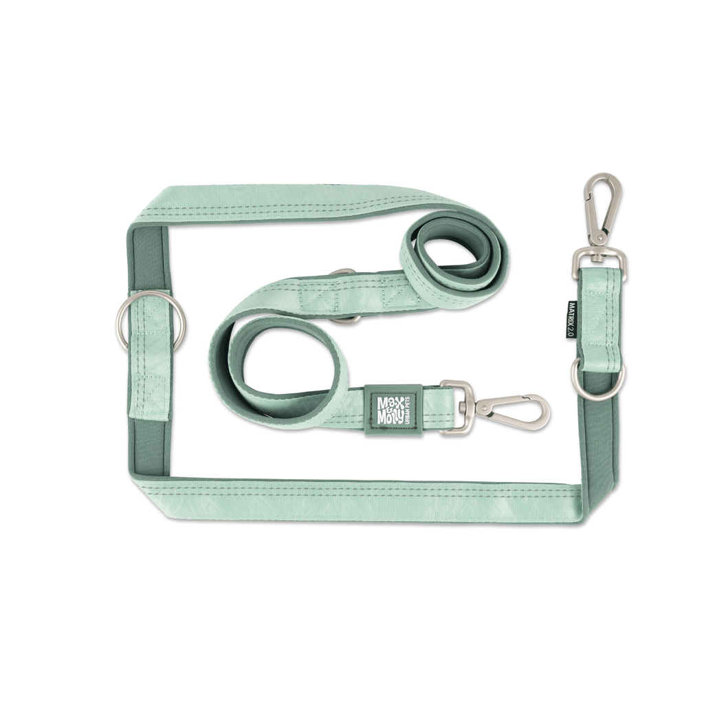 Multi-Function Leash - Matrix 2.0 Jade – Max & Molly Urban Pets