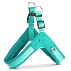 GOTCHA! Smart ID Q-Fit Harness - Matrix 2.0 Turquoise