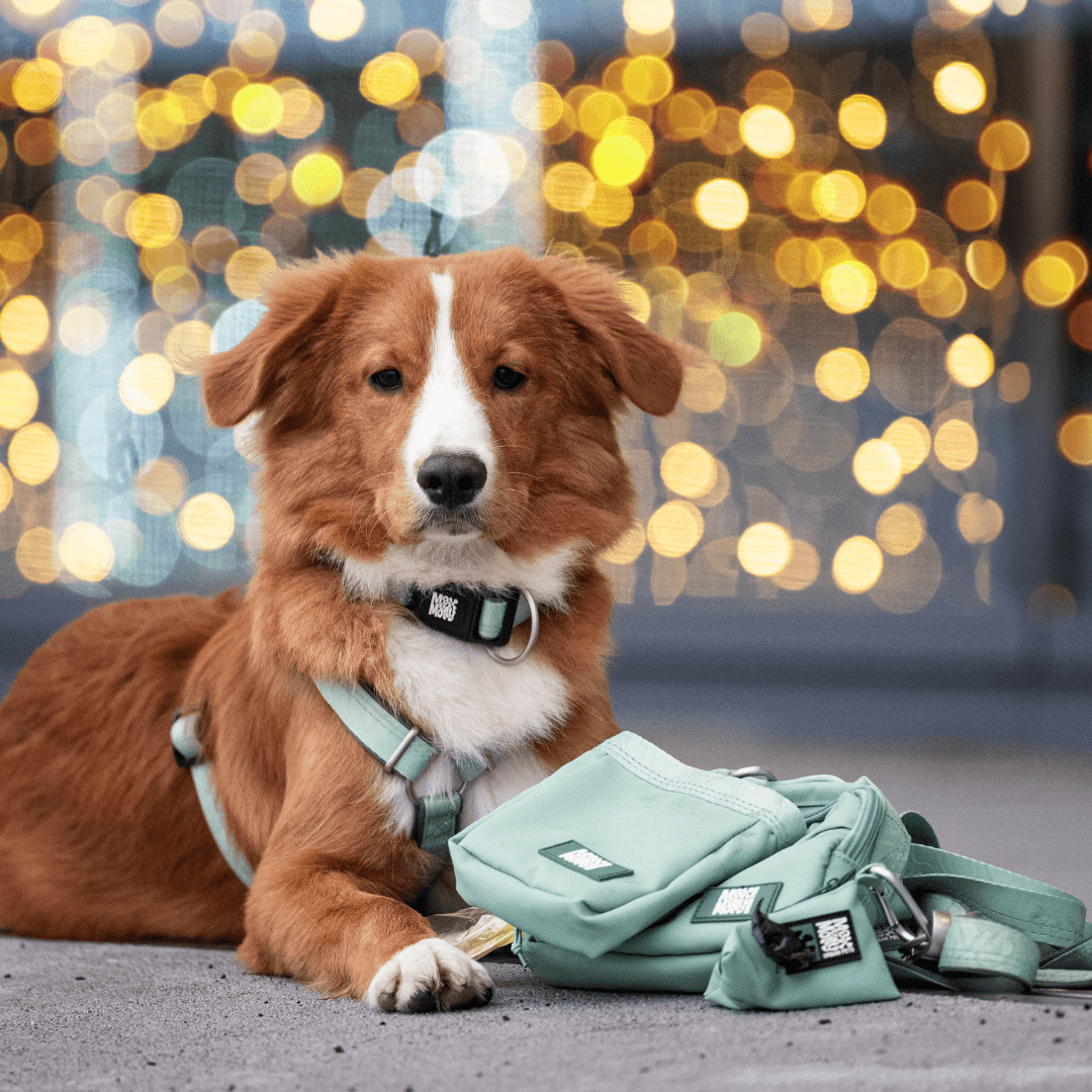 Training Bag  - Matrix 2.0 Jade