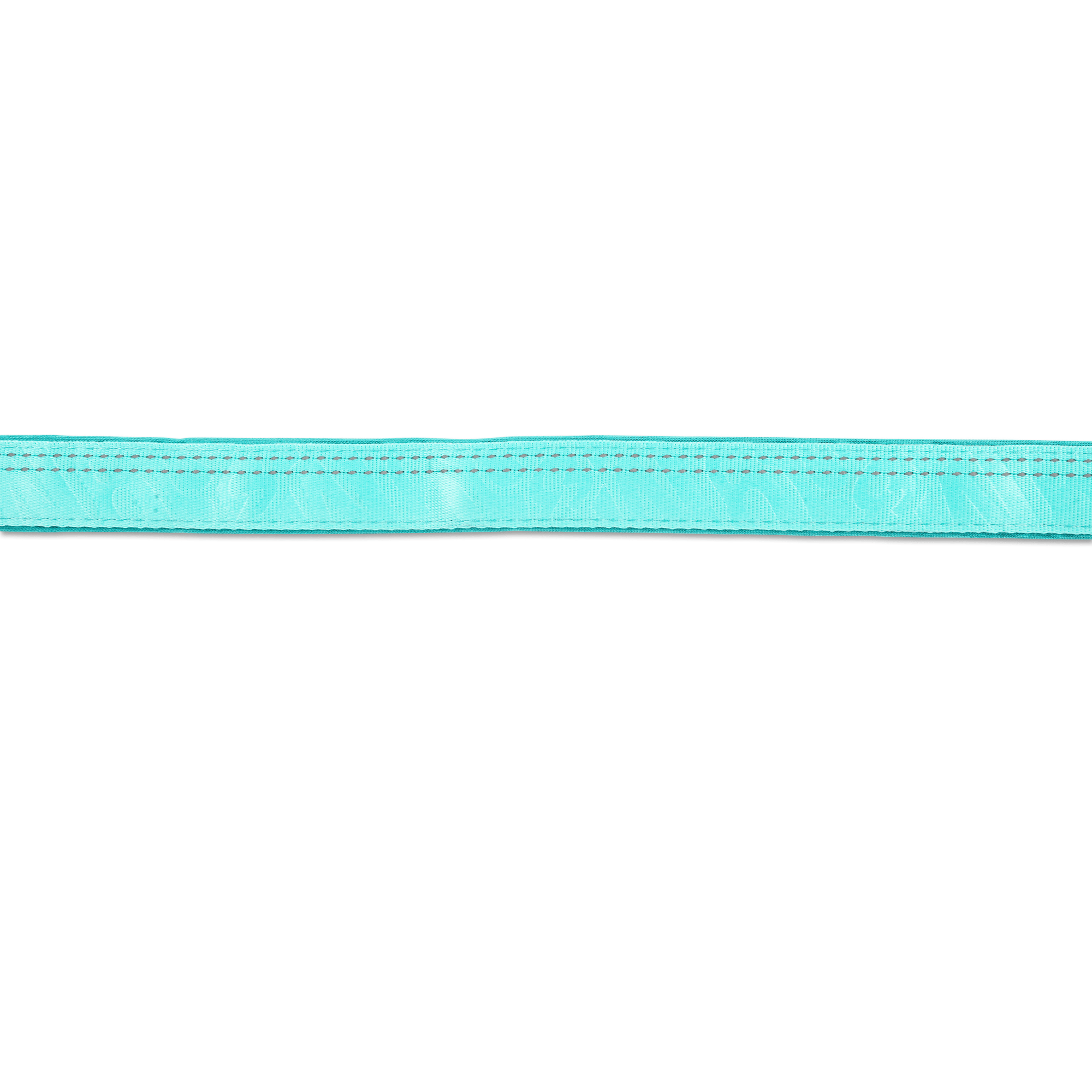 Multifunctional Leash - Matrix 2.0 Turquoise