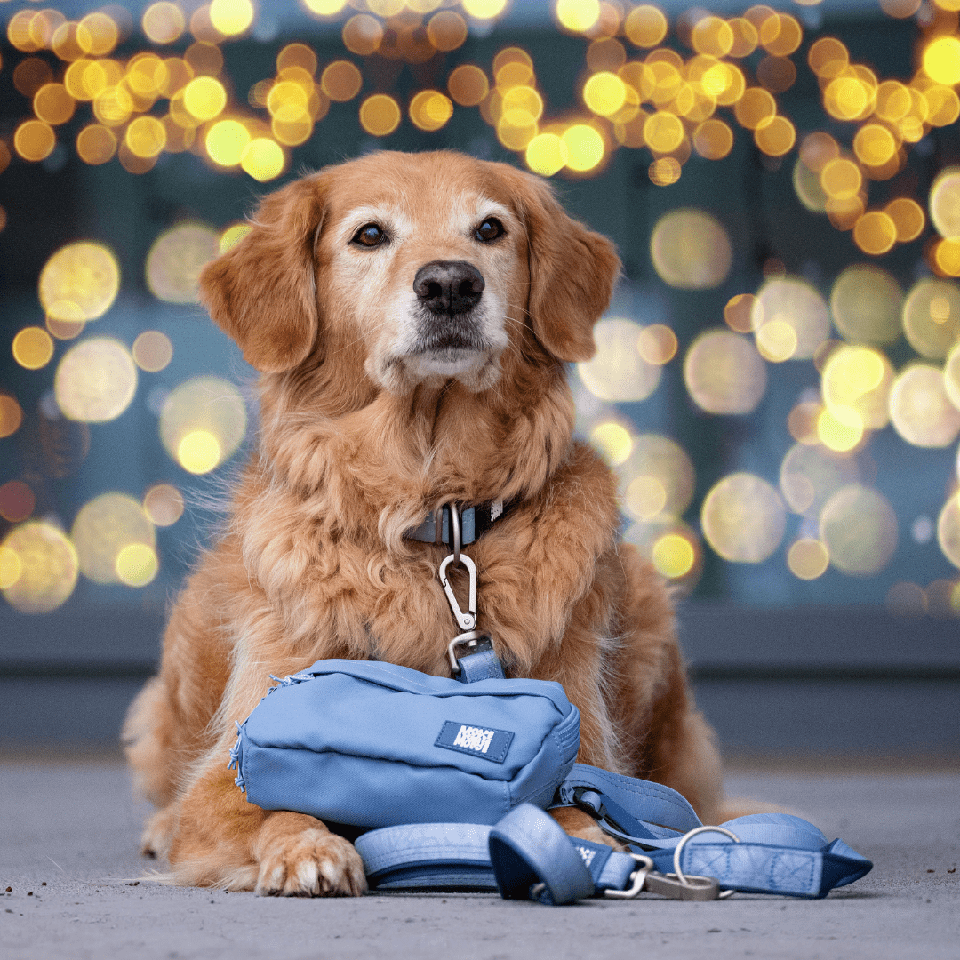 Training Bag  - Matrix 2.0 Ocean