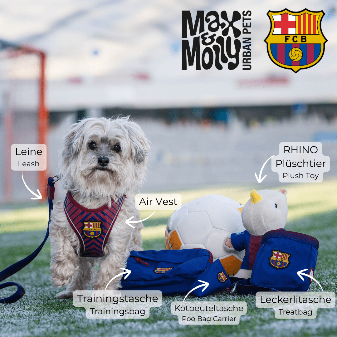 FC Barcelona Training Bag