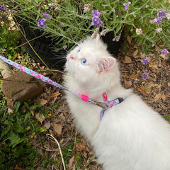 Cat Harness/Leash Set - Cherry Bloom