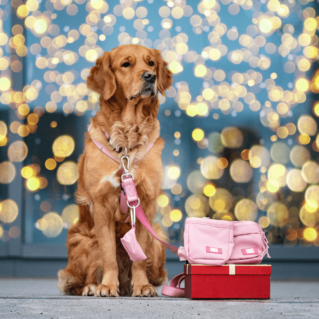 Training Bag  - Matrix 2.0 Rose