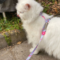 Cat Harness/Leash Set - Cherry Bloom