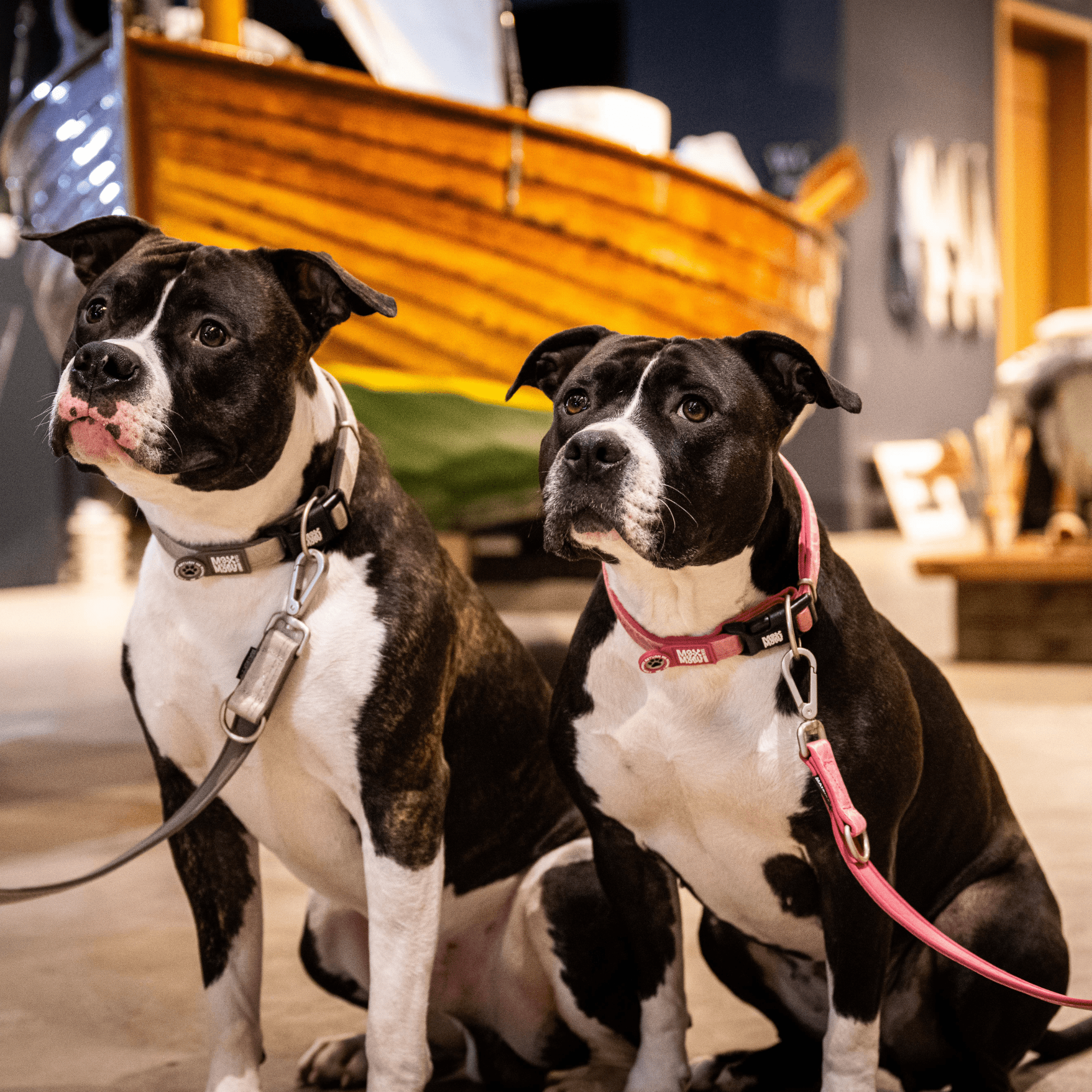 GOTCHA! Smart ID Halsband - Matrix 2.0 Rose