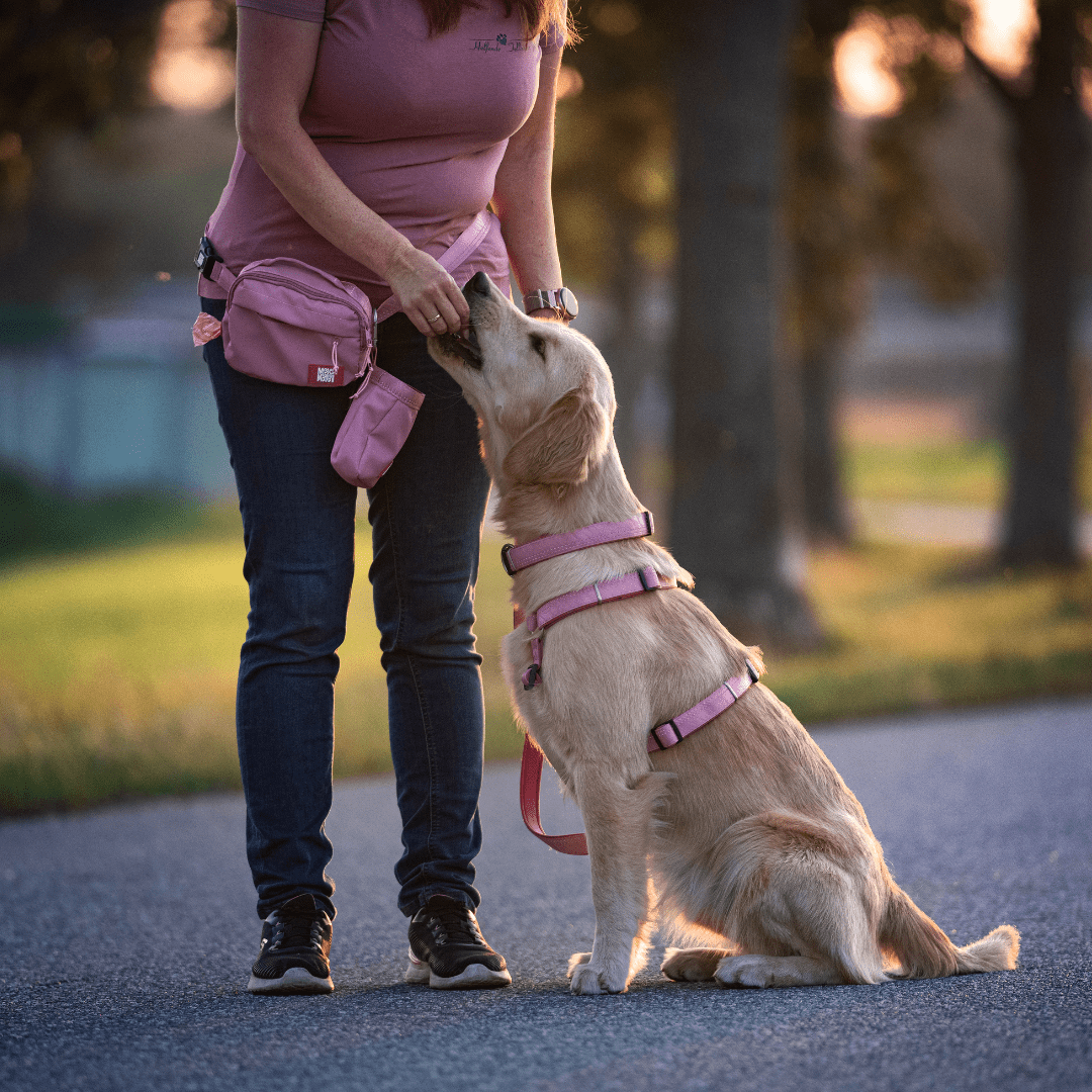 Training Bag  - Matrix 2.0 Rose