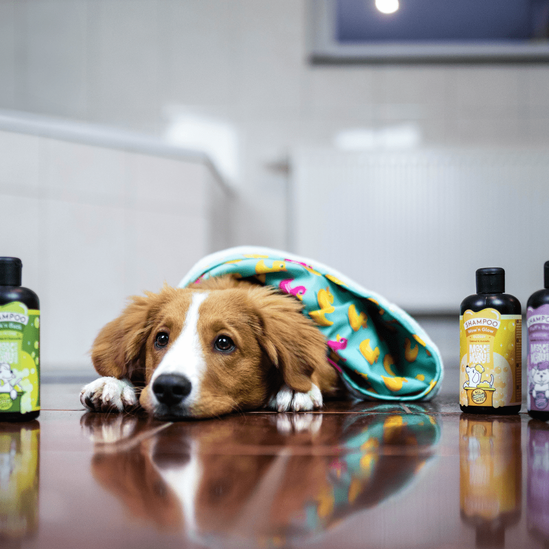 Hundebademantel - ORIGINAL Ducklings