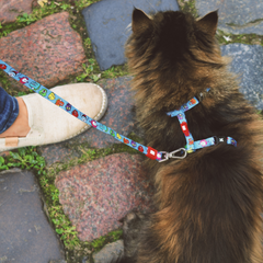 Cat Harness/Leash Set - Little Monsters