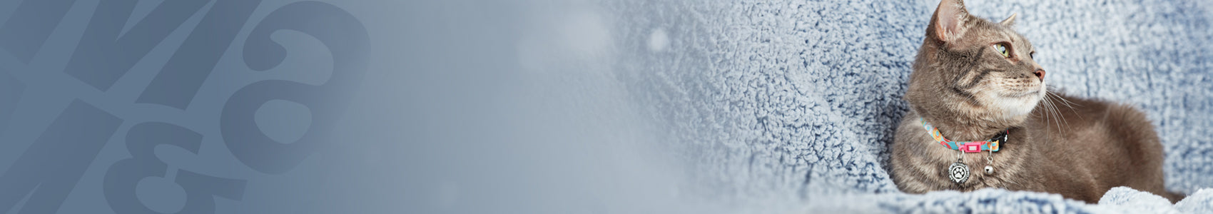 Original - Cat Collars