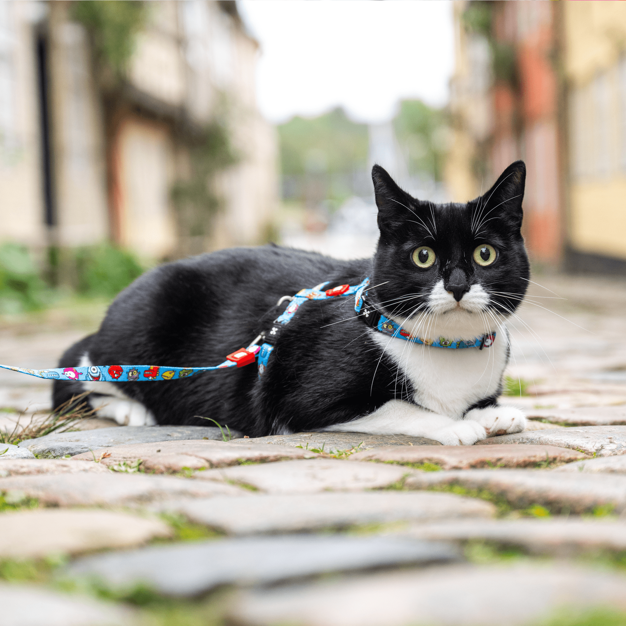 Cat Harness/Leash Set - Little Monsters