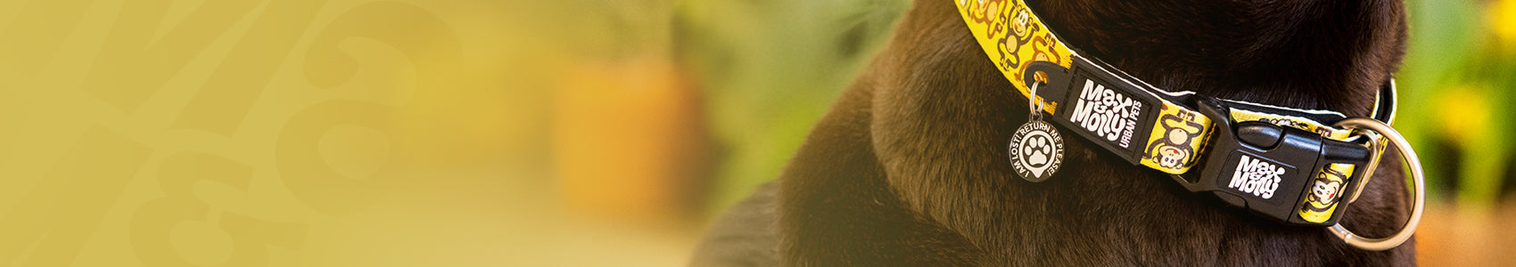 GOTCHA! Smart ID TAG