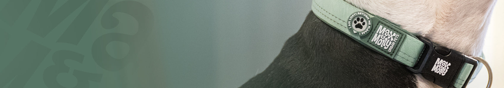 GOTCHA! Smart ID TAG