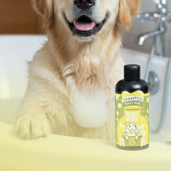 Golden Retriever in der Badewanne mit Max & Molly „Bark’n Bath“ Hundeshampoo für sanfte Fellreinigung.