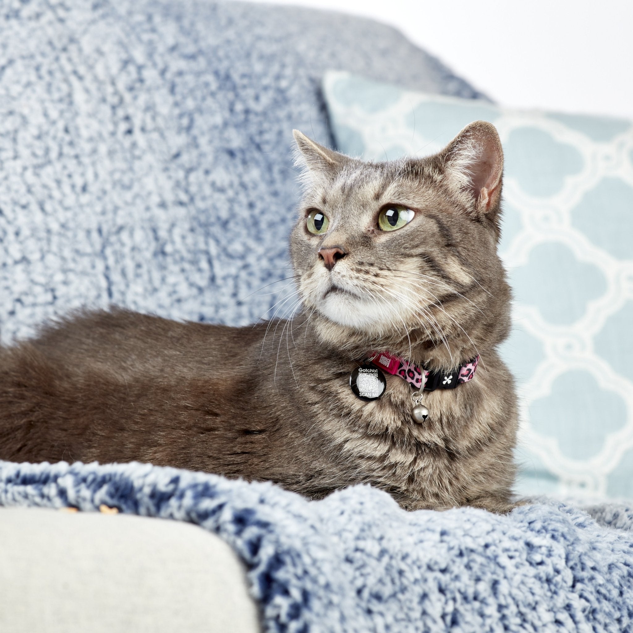 Smart ID Cat Collar - Leopard Pink