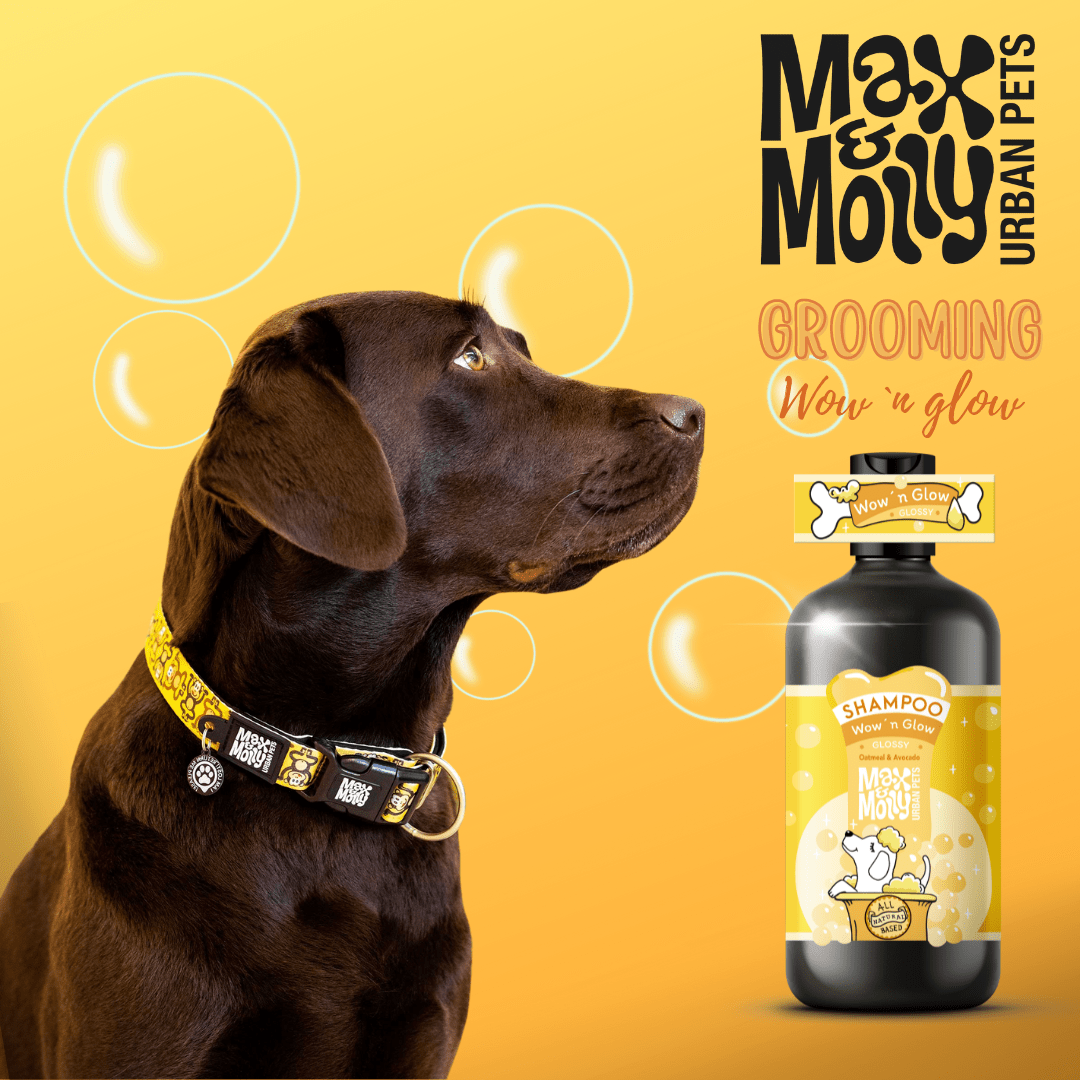 Dog Shampoo Glossy Coat, Wow’ n Glow 250ml