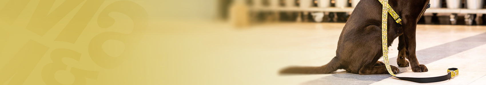 Original - Short Leash