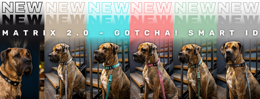 Max and molly clearance grooming apparel