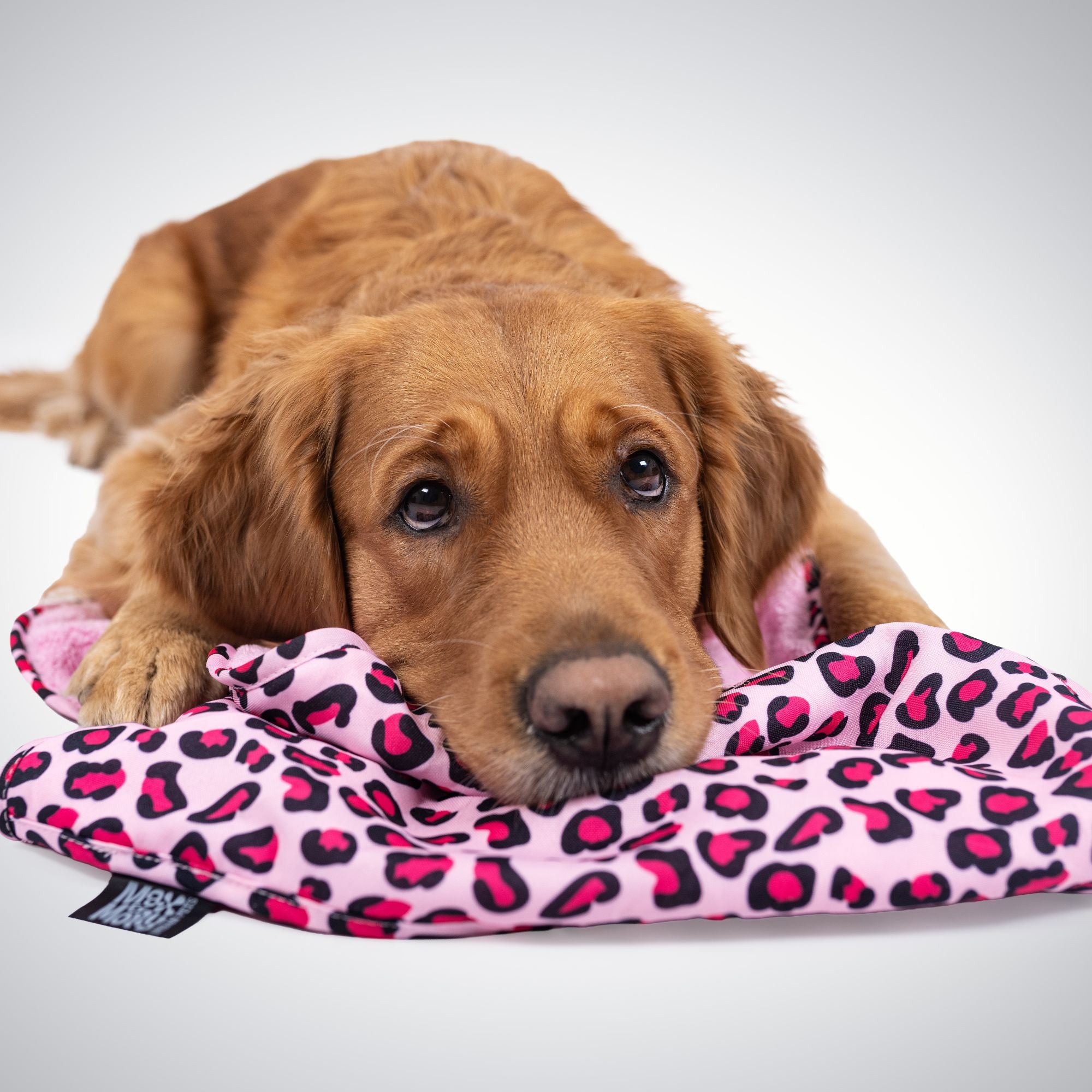 Hundehandtuch - Leopard Pink