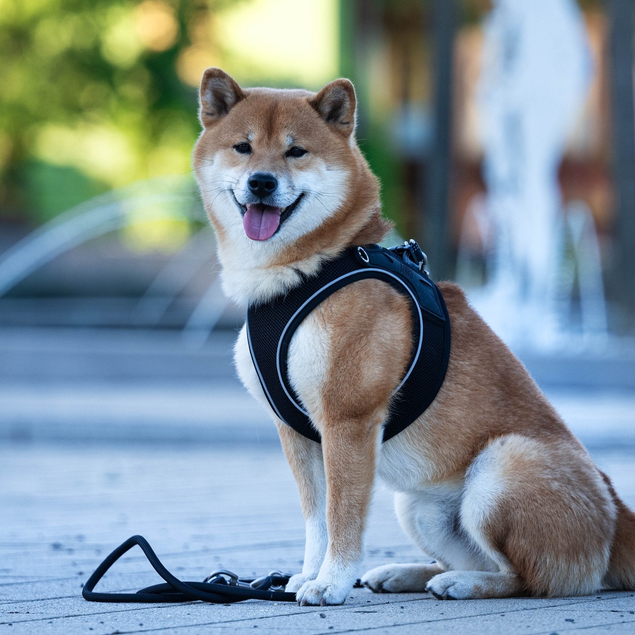 Air Vest Dog Harness - Matrix 2.0 Black