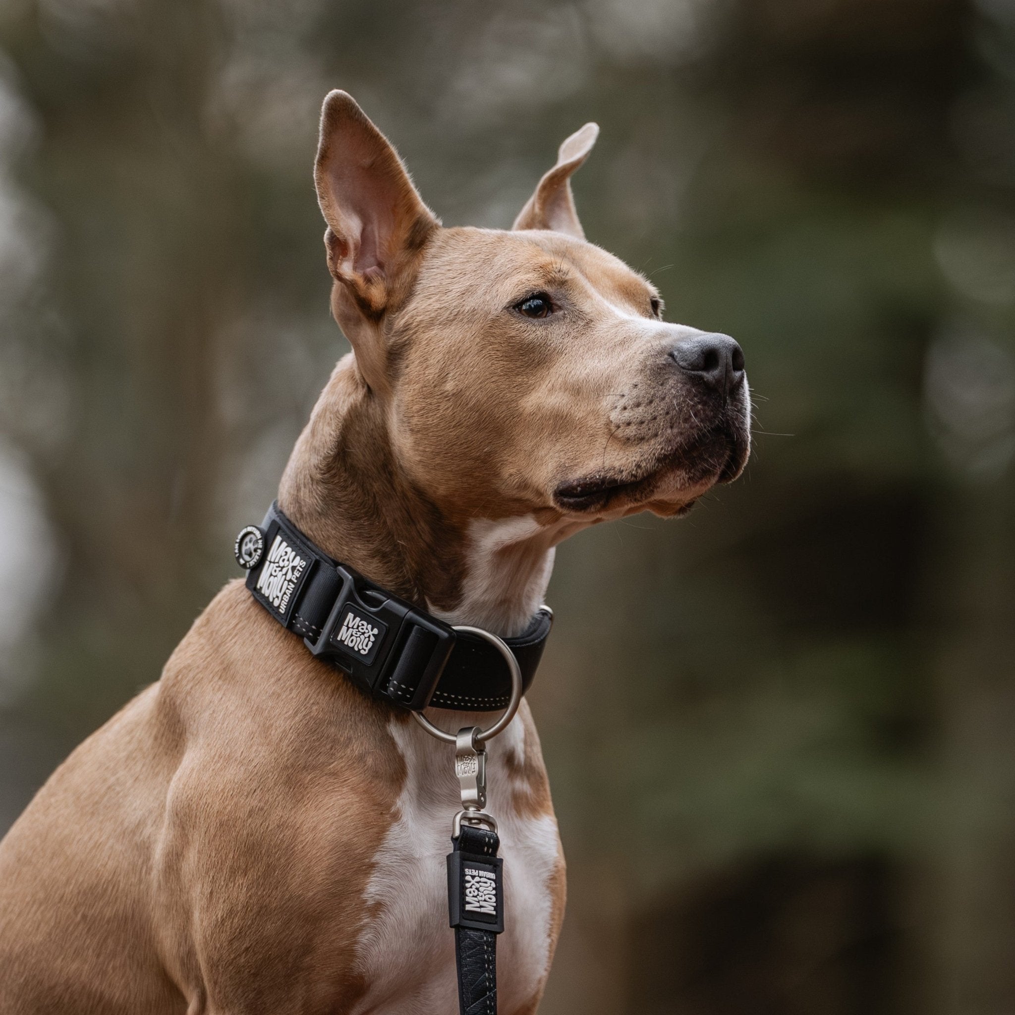 Smart ID Breites Halsband - Matrix 2.0 Black