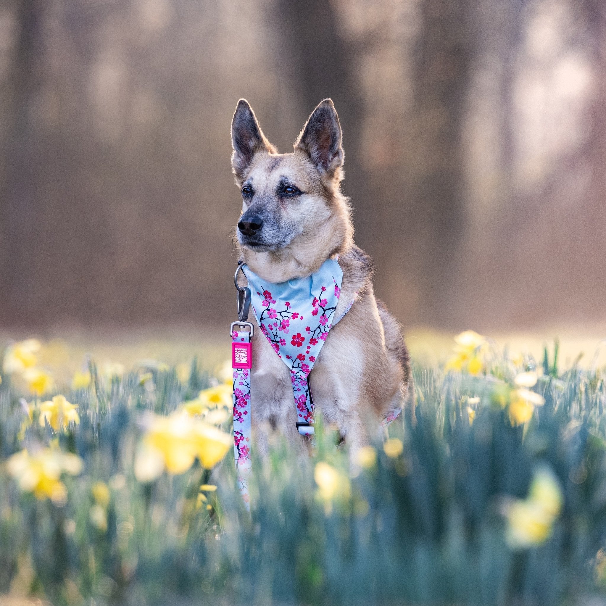 Bandana - Cherry Bloom