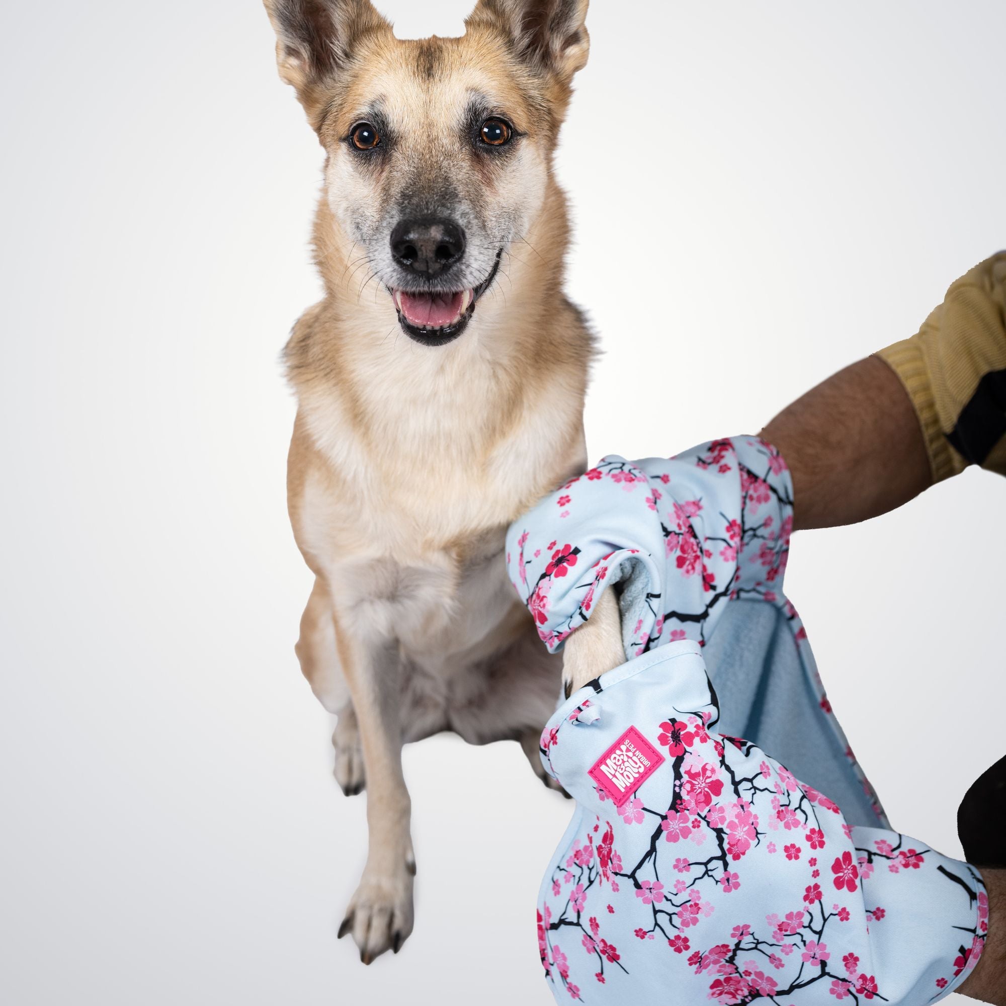 Hundehandtuch - Cherry Bloom