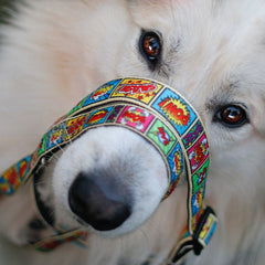 Multifunktionsleine - Comic