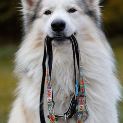 Multifunktionsleine - Comic