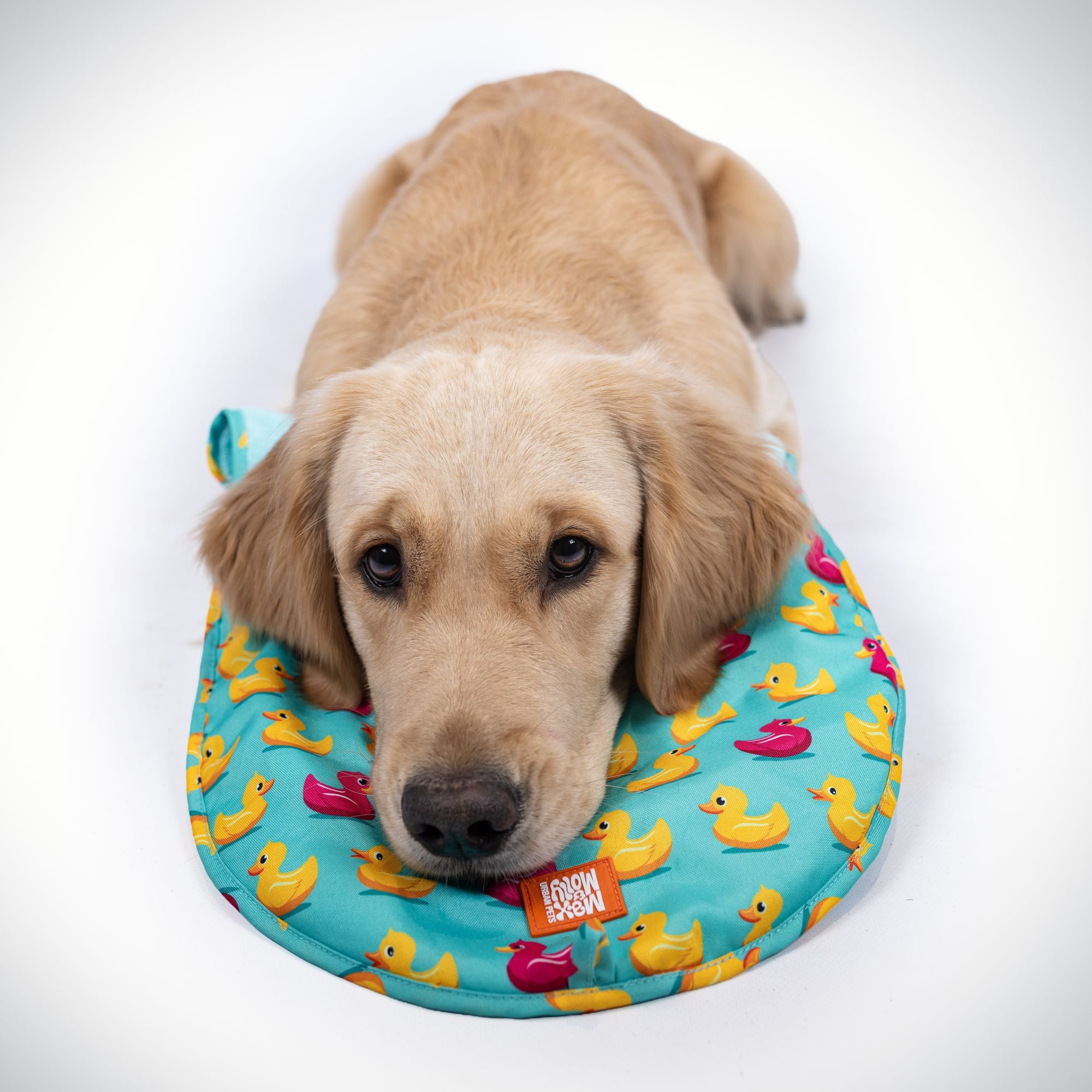 Hundehandtuch - Ducklings