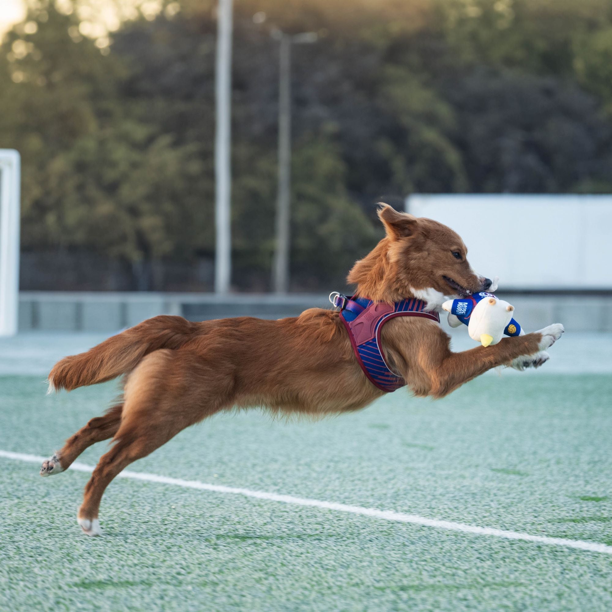 Plush rhino wearing an FC Barcelona jersey – a soft and durable dog toy for playful moments.