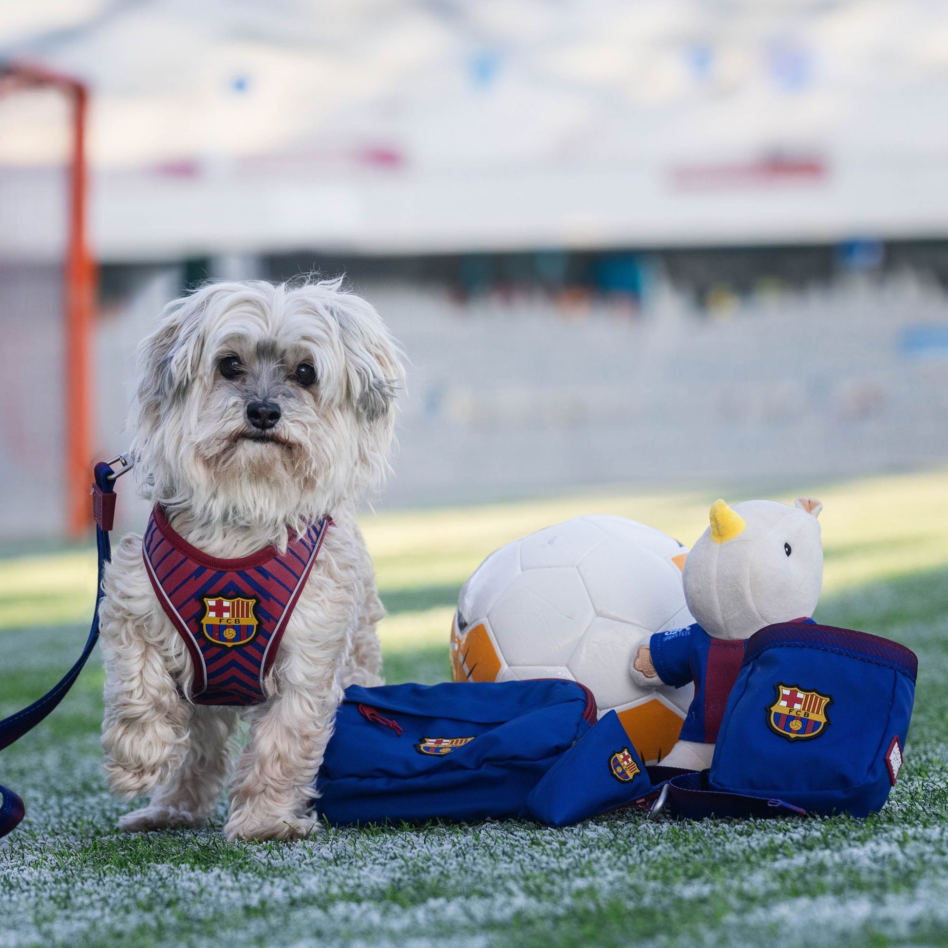 FC Barcelona treat bag with drawstring closure – practical and stylish for carrying dog treats on the go.
