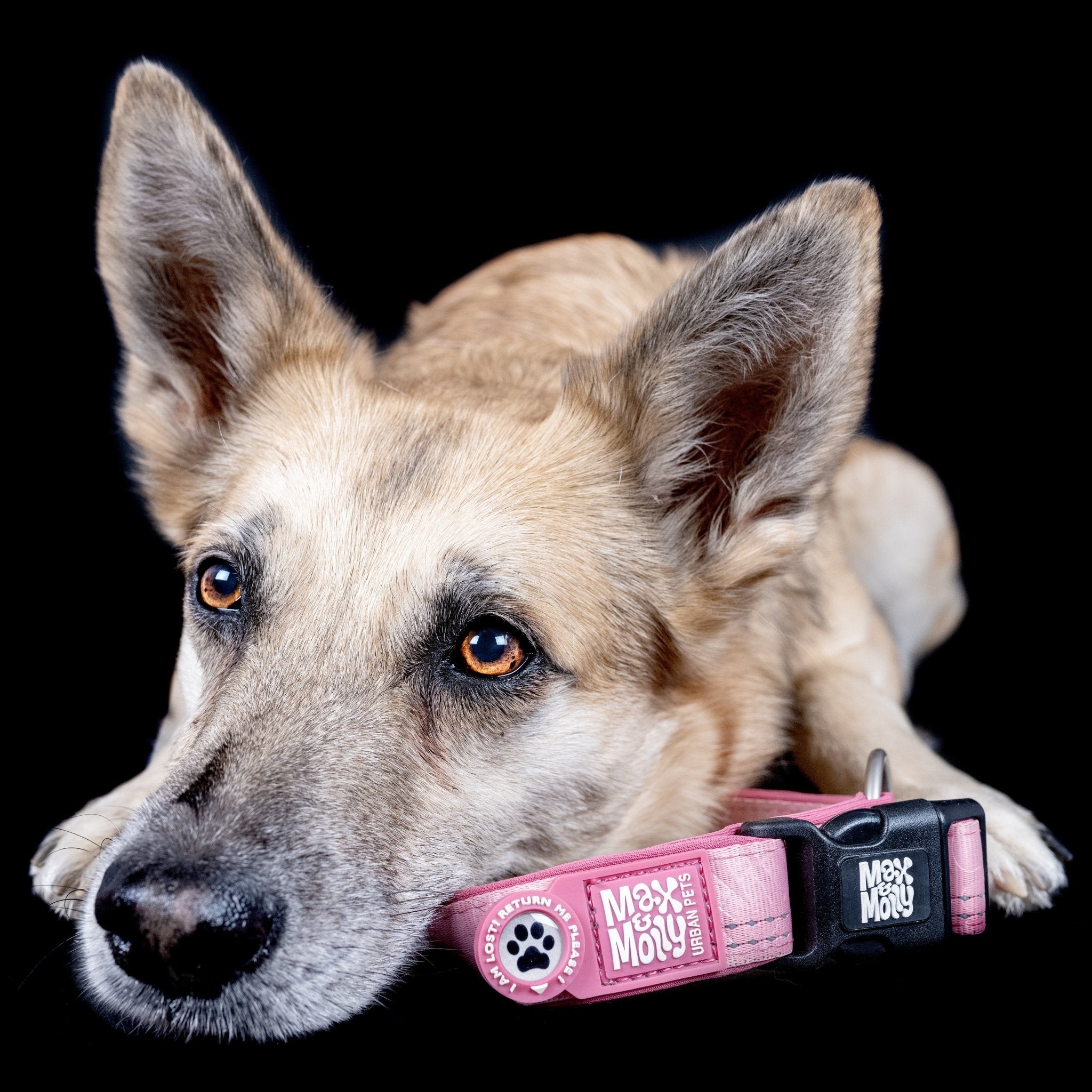 GOTCHA! Smart ID Collar - Matrix 2.0 Rose