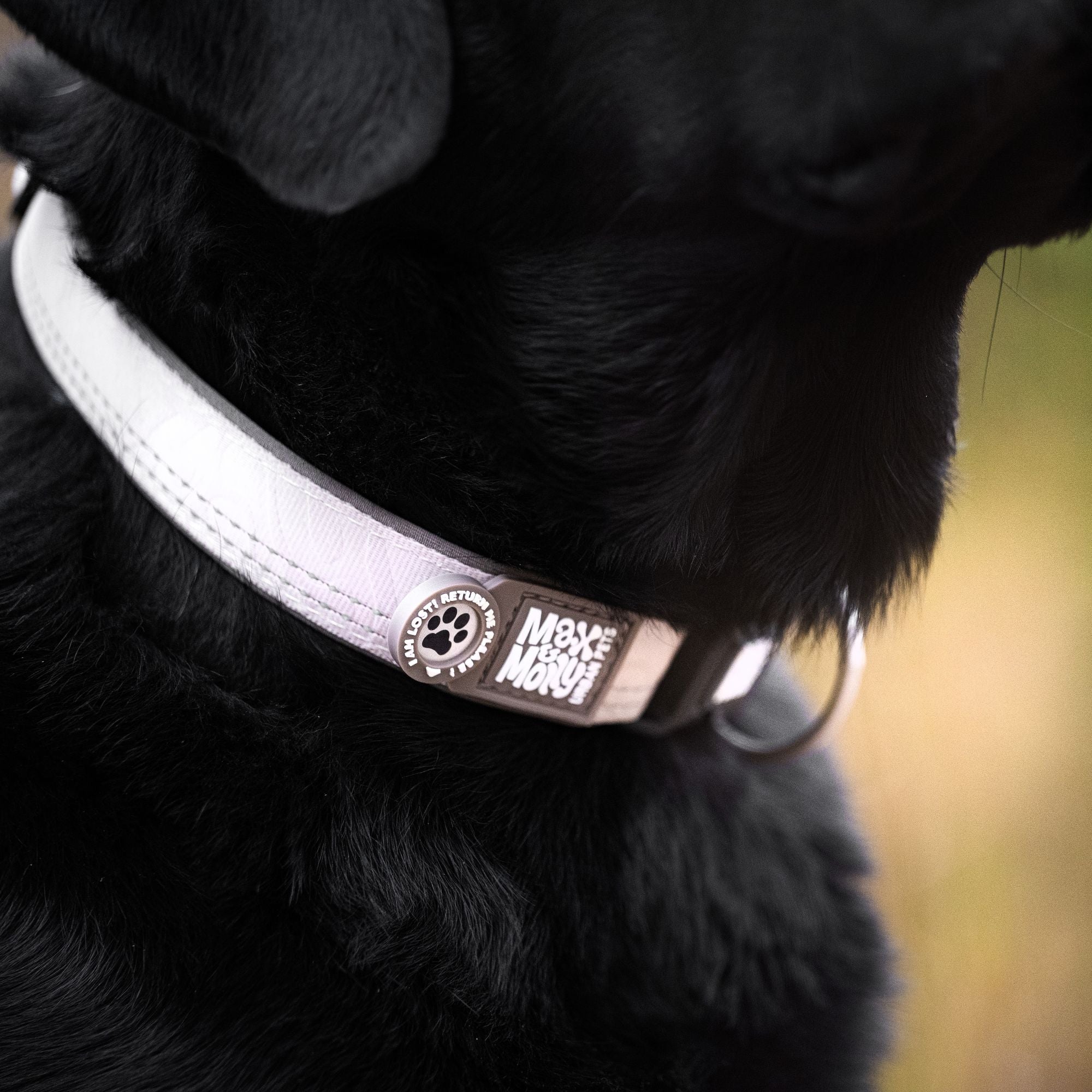 GOTCHA! Smart ID Halsband - Matrix 2.0 Sand