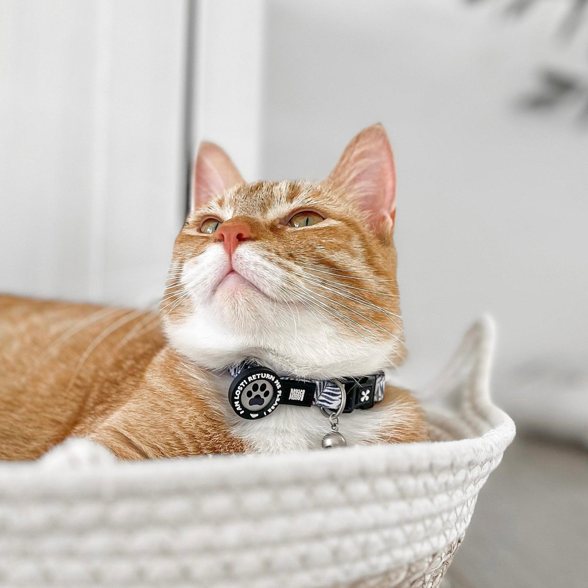 Smart ID Katzenhalsband - Garden